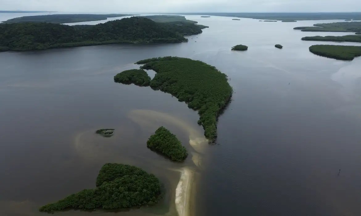 Carbono azul ganha espaço na agenda climática dos oceanos