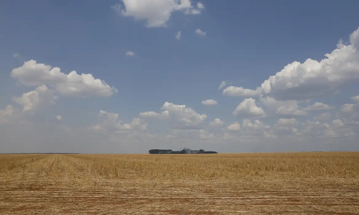 Fronteira Cerrado: desenvolvimento e destruição no agronegócio
