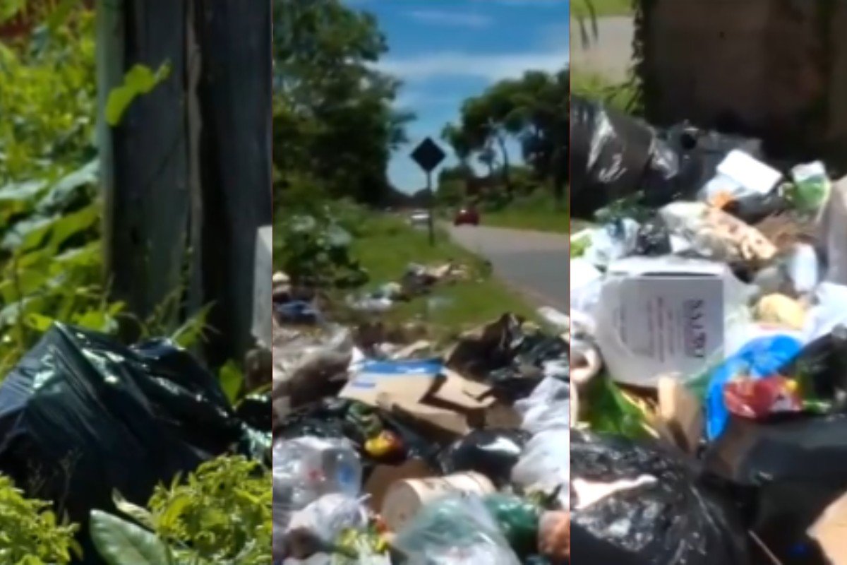 Lixo acumulado e mau cheiro: prefeitura diz que vai recorrer contra decisão que manteve empresa de coleta em MT