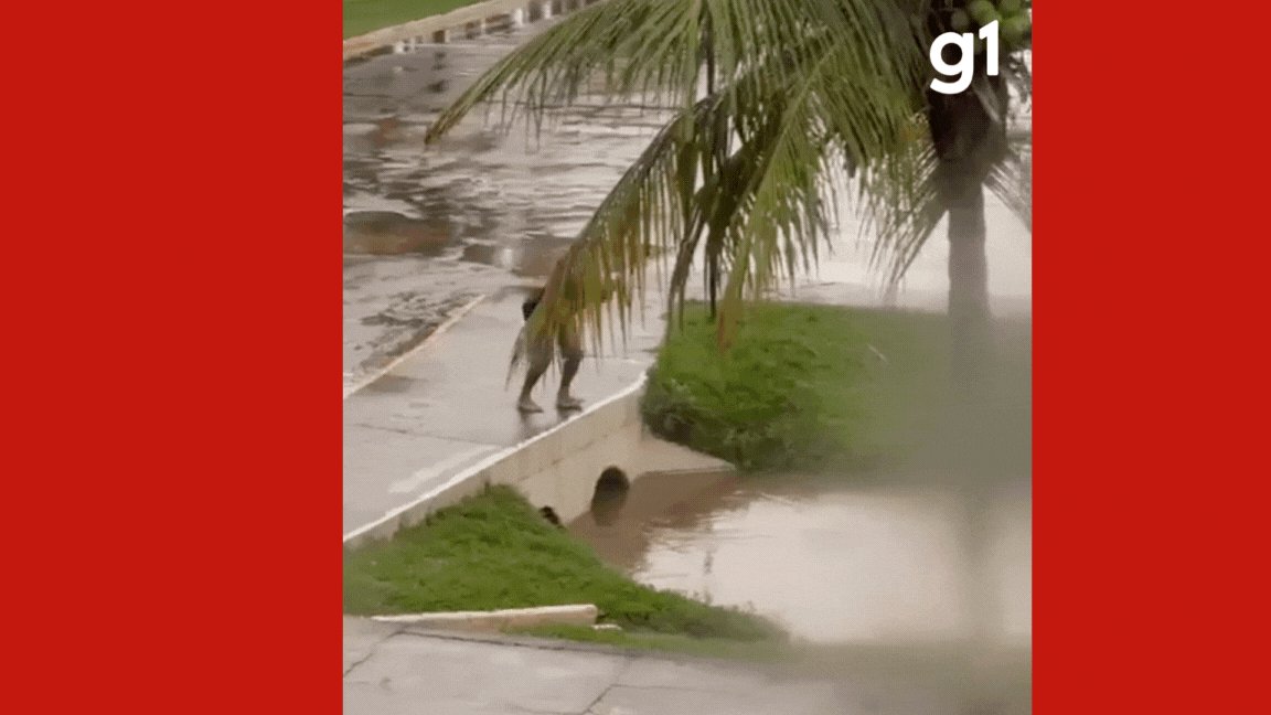 VÍDEO: morador mergulha em valeta alagada com água de chuva em MT