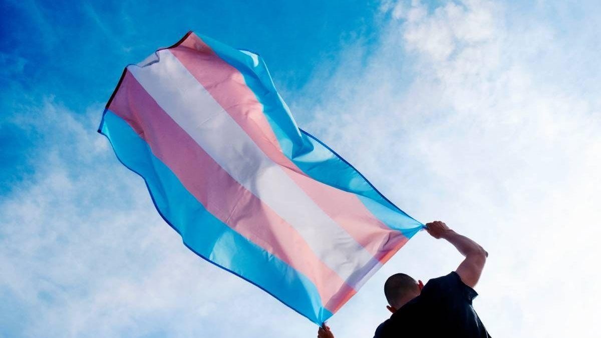 Dia Nacional da Visibilidade Trans: retificação de gênero cresce 100% em cartórios de MT; saiba como fazer