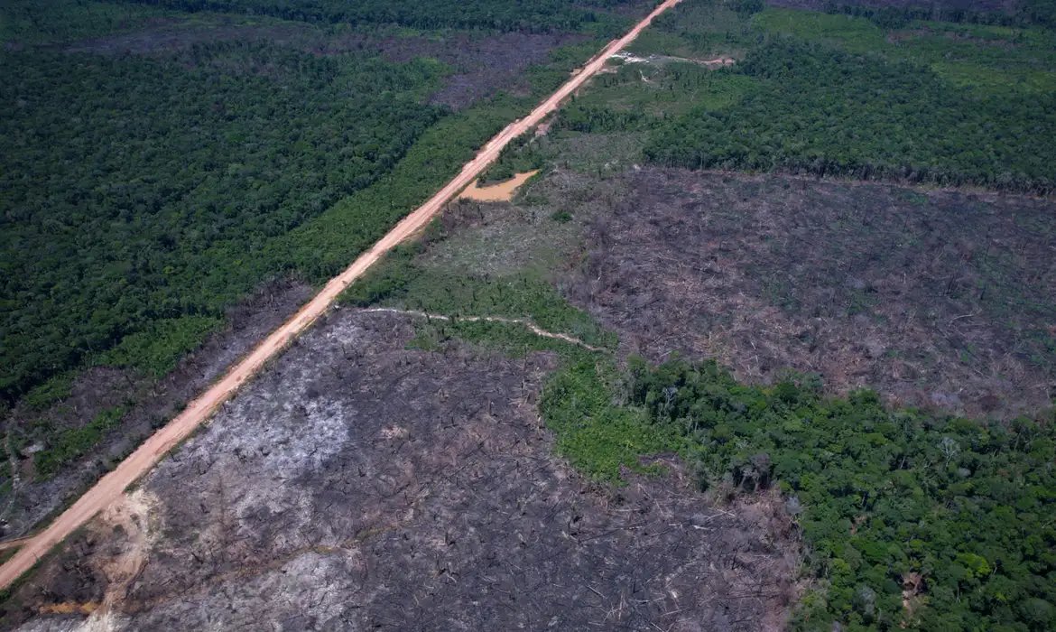 Eco Invest Brasil promove quinto leilão para financiar inovação