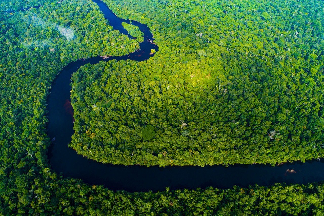 Acordo amplia área de proteção do Parque do Cristalino II em MT após briga judicial e pedido de extinção