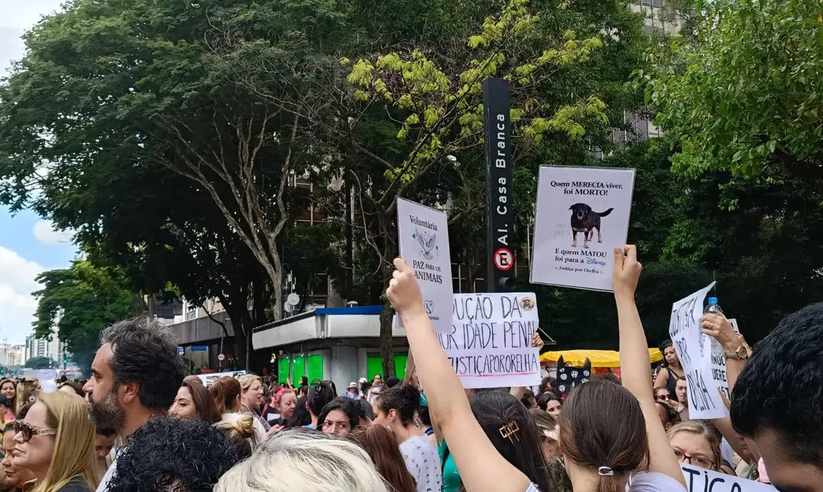 Centenas de pessoas em São Paulo pedem justiça pelo cão Orelha 