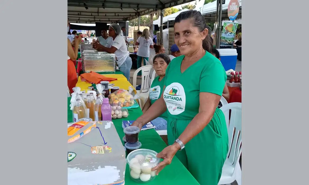 Agricultores familiares aumentam renda em 30% com programa federal 