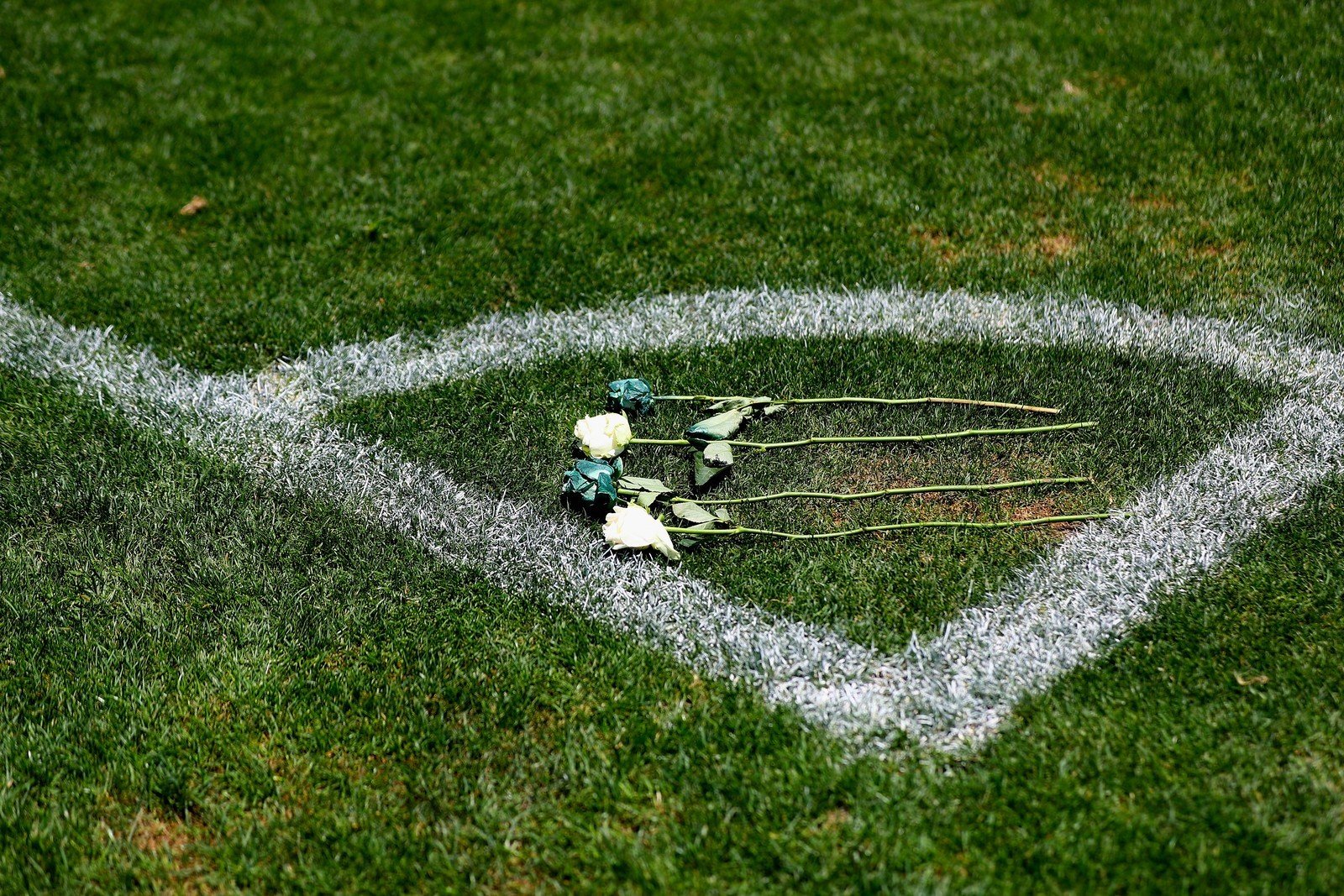 'Pra sempre lembrados': Chapecoense convoca homenagem para vítimas nove anos após acidente aéreo