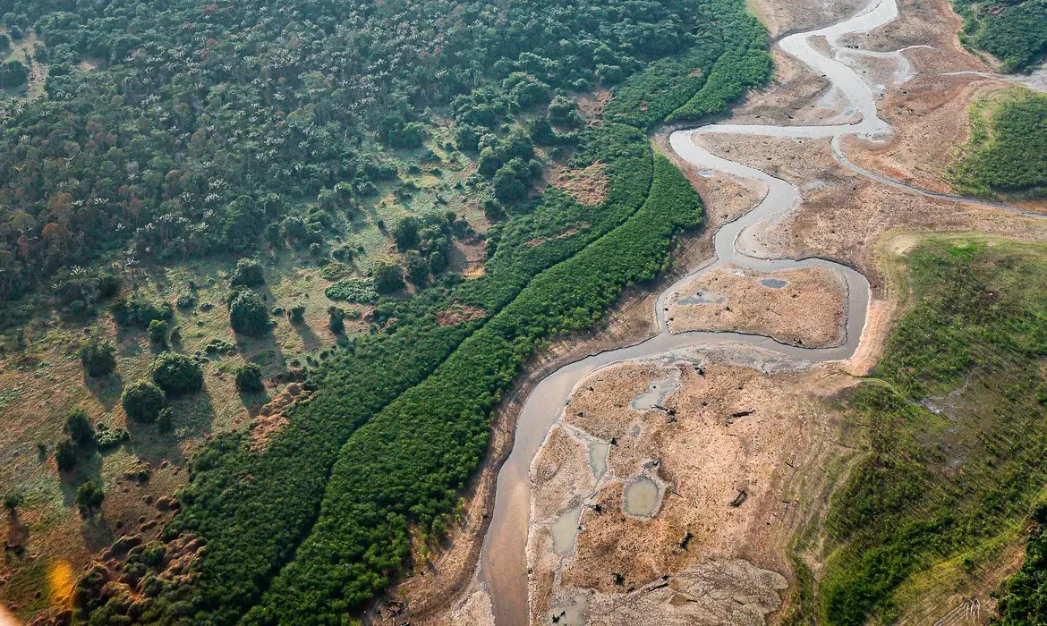 Dezesseis projetos concorrem em edital para restauração da Amazônia