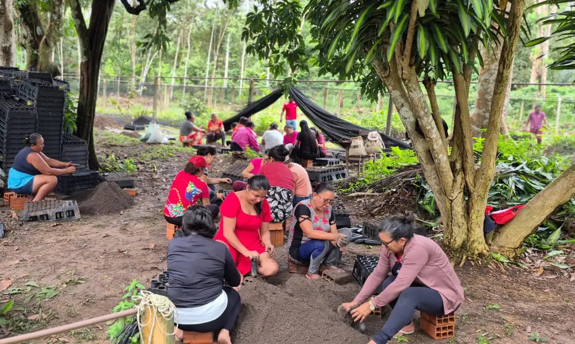 Mulheres da Amazônia se unem para enfrentar as mudanças climáticas