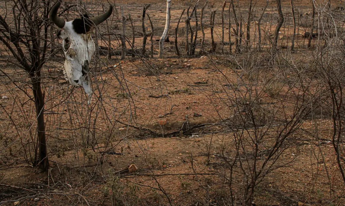 COP 17 sobre desertificação inicia na Mongólia