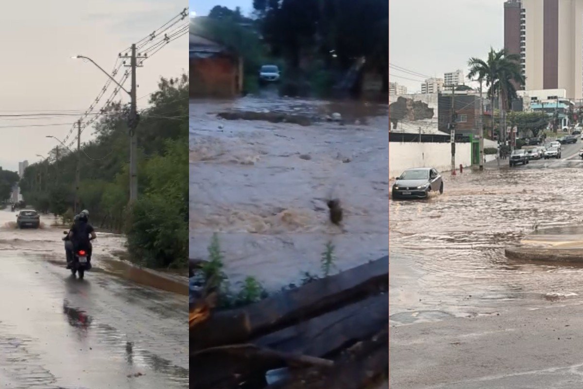 VÍDEO: temporal alaga casas, derruba árvores e causa transtornos no trânsito em Cuiabá e Várzea Grande (MT)