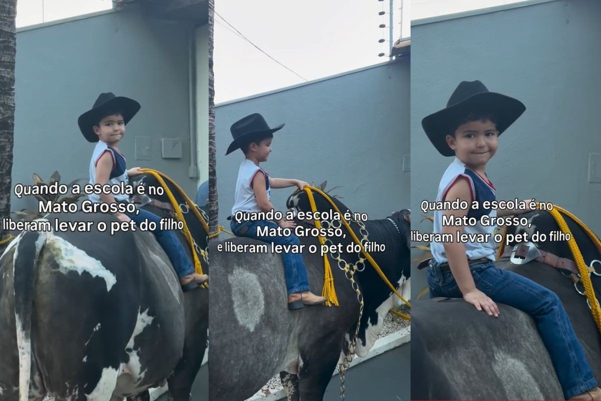 Vídeo: menino de 3 anos chega à escola de MT montado em boi de 600 kg