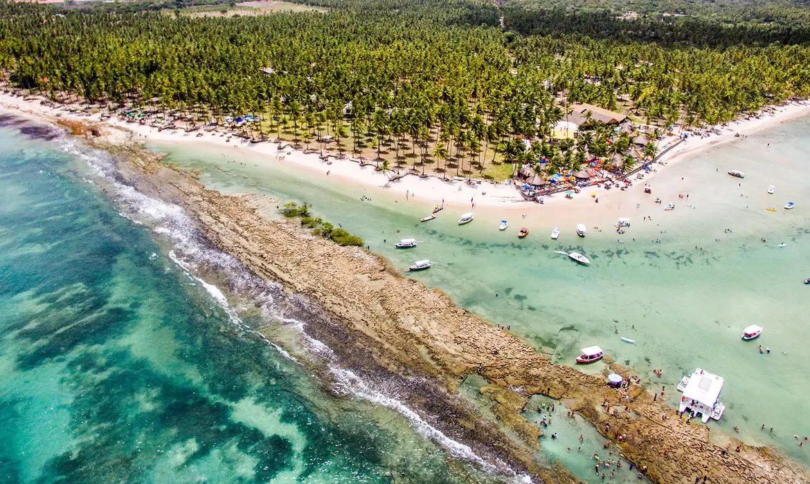 Barulho de barco e de turistas afeta comunicação de peixes, diz estudo