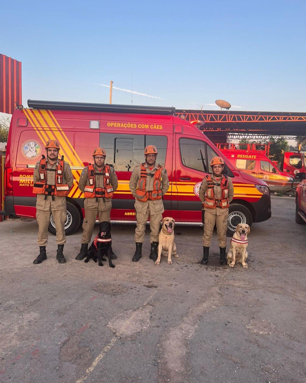 MT sedia evento de cães de busca e resgate; relembre animais que atuaram em salvamentos