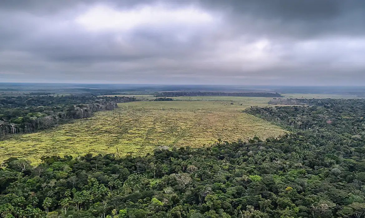 Governo defende manutenção de vetos à lei do licenciamento ambiental